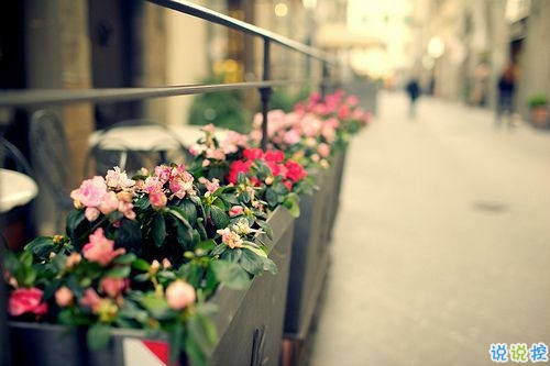 對(duì)愛一往情深的經(jīng)典說說帶圖片 文藝愛情小短句表達(dá)愛意9