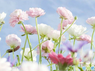 很現(xiàn)實(shí)的人生感悟經(jīng)典句子 人生感悟句句精辟帶圖片14