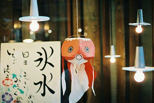 關于人生和愛情的唯美小清新句子帶圖片 我路過萬家燈火而你才是我的歸途8