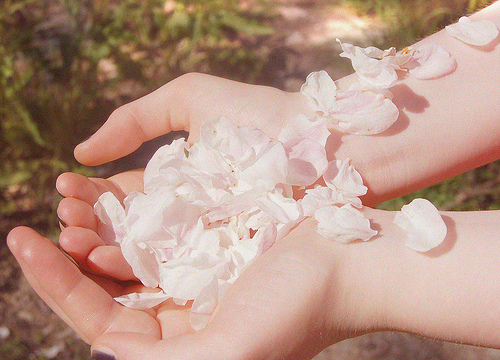 告白時(shí)的文藝?yán)寺樵捑渥?超浪漫的文藝愛(ài)情句子1