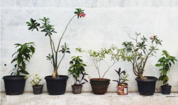 關(guān)于愛情的甜蜜小句子帶圖片 我忘記誰都不能忘記那個夏天的你11