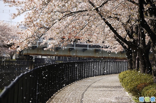 qq空間勵(lì)志說說帶圖片2019 00后都愛的勵(lì)志句子年輕人必備10