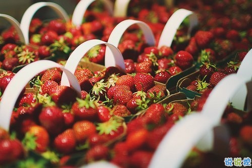 很特別的微信說說帶圖片獨(dú)一無二 15條值得收藏的經(jīng)典句子9