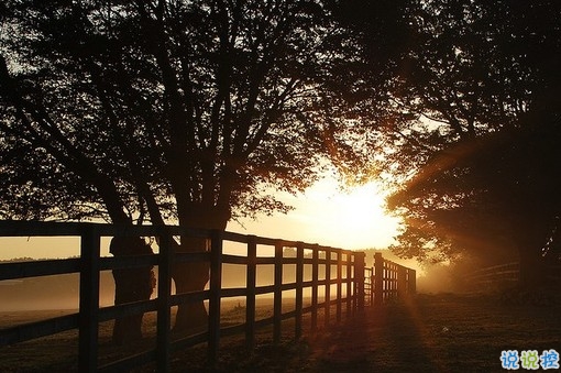 心里委屈難過(guò)的說(shuō)說(shuō)帶圖片 適合心情不好時(shí)發(fā)的微信說(shuō)說(shuō) 9