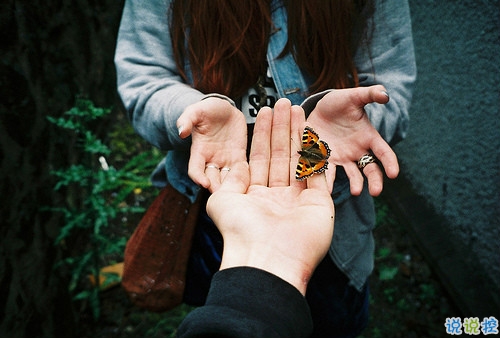 唯美簡單的治愈系說說帶圖片 山月孤寂只是未見我6