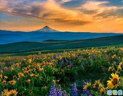 很真實(shí)幸福的愛(ài)情說(shuō)說(shuō)帶圖片 向另一伴告白的浪漫愛(ài)情說(shuō)說(shuō)12