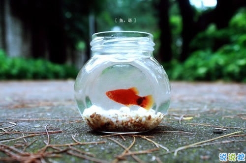 逗比假正經(jīng)的搞笑說說帶圖片 能戳中你笑穴的簡單一句話11