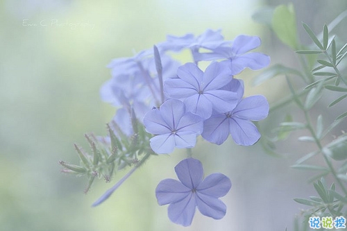 為明天而努力的勵(lì)志說說致自己 有關(guān)于積極奮斗的勵(lì)志說說共勉10