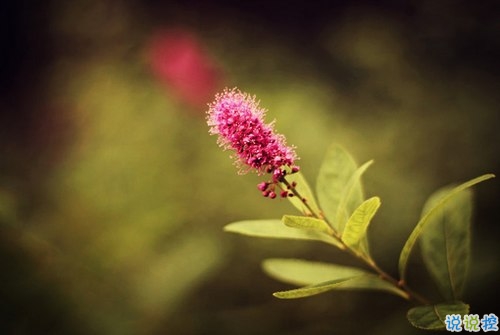 看透愛情的悲傷說說心痛分手帶圖片 開始很感動過程很精彩結(jié)局不想說3