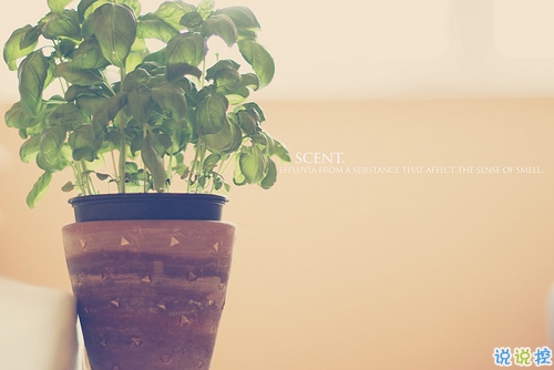 2019微信超文藝說(shuō)說(shuō)加配圖 很流行的文藝范經(jīng)典說(shuō)說(shuō)大全4