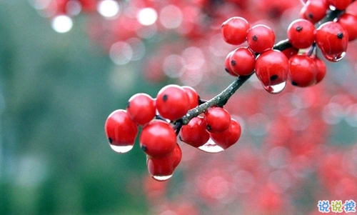 朋友圈曬美食的搞笑說(shuō)說(shuō)帶圖片 關(guān)于吃貨的說(shuō)說(shuō)簡(jiǎn)短精辟201910