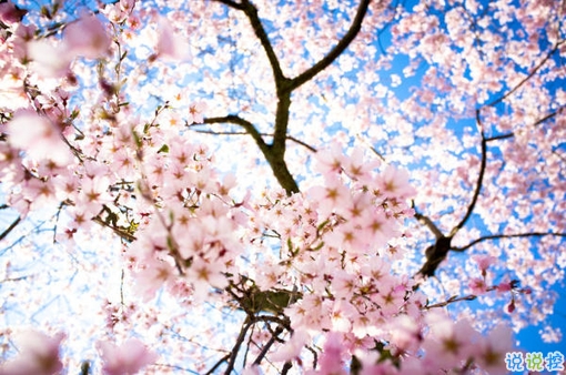 一個(gè)人感到孤獨(dú)絕望的說說帶圖片 黑夜難以入眠的悲情說說11