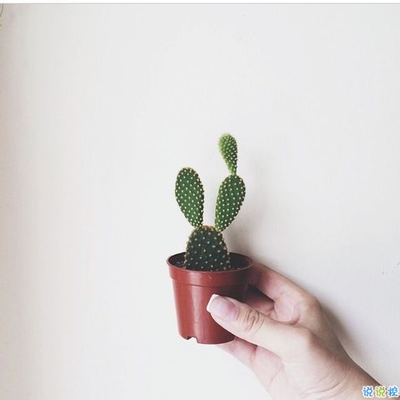 戀愛時(shí)的甜蜜小情話溫柔的句子帶圖片 我奔向你就像奔向未來4