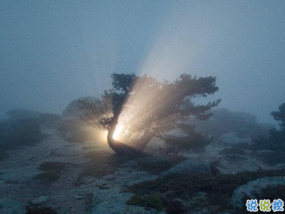 越想越難過傷感的說說配圖 被傷得很深的愛情說說14