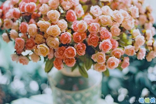 十二月你好幸福唯美說說帶圖片 2018十二月朋友圈說說帶著美好祝愿3