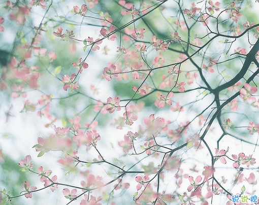 青春年少歲月中對(duì)人生的思考 精辟內(nèi)涵的經(jīng)典說(shuō)說(shuō)帶圖片很有意境1