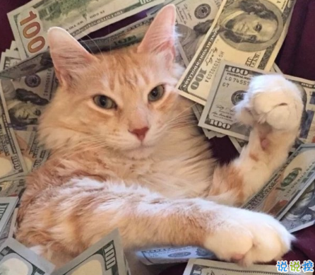 可愛說說配圖2018女生專屬 我生來就是寶貝，來到世間就是被寵的1