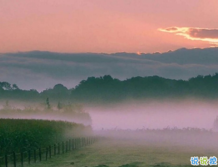 簡(jiǎn)短的帶唯美的說活帶圖片 簡(jiǎn)單一句話說說表達(dá)心中的情感1