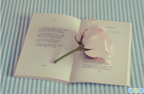 國內國外很經典的電影臺詞經典語錄 關于人生愛情的精辟電影臺詞2