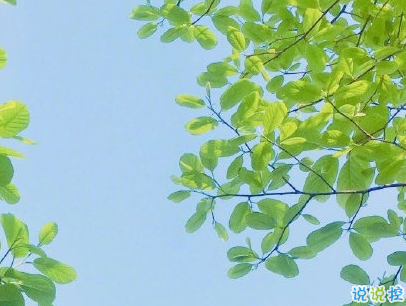 秋天朋友圈說(shuō)說(shuō)充滿(mǎn)詩(shī)意 唯美有詩(shī)意的秋天說(shuō)說(shuō)配圖14