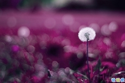 超暖心的朋友圈勵志說說帶圖片 致所有人的勵志說說值得收藏15