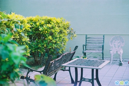 表達(dá)愛意的唯美句子配圖 肯定能打動你心的唯美說說帶圖片12