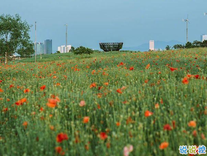 2019五一快樂(lè)心情說(shuō)說(shuō)帶圖片 五一祝福語(yǔ)說(shuō)說(shuō)經(jīng)典語(yǔ)錄7