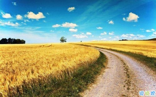 2019年除夕夜勵(lì)志經(jīng)典說(shuō)說(shuō)帶圖片 除夕夜微信說(shuō)說(shuō)簡(jiǎn)單一句話9