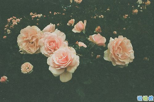 2018正能量的奮斗經(jīng)典說說配圖 簡單霸氣的勵(lì)志說說201811