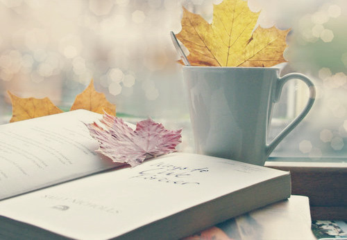 簡單一句話早安說說很勵志 愿你的世界永遠是晴天11