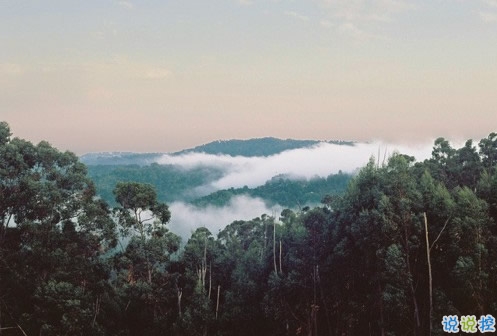 qq說(shuō)說(shuō)傷感女生帶絕情配圖 是真的感到心好累說(shuō)說(shuō)帶圖片6