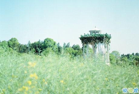 經(jīng)典有道理的說說帶圖片：我讀過很多書，但后來(lái)大部分都被我忘記了2