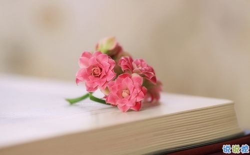 抖音好聽(tīng)個(gè)性說(shuō)說(shuō)帶圖片 能夠吸引人的一句話說(shuō)說(shuō)9