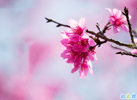 微信朋友圈治愈系早安心語說說 溫暖小清新早安說說大全10