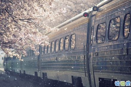 感悟生活的早安心情說說 陽光這么好別辜負了今天15