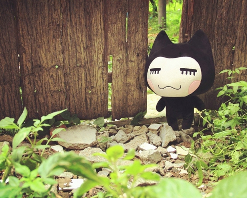 甜蜜浪漫情話只想說給你聽的說說帶圖片 想化作一陣風(fēng)輕柔的撫過你15