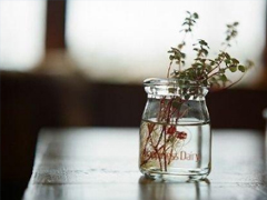 28句哲理說說人生感悟 穿透人心的哲理美句