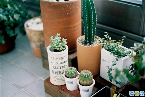 女生個(gè)性說說經(jīng)典霸氣帶圖片 知道自己不討喜那就乖一點(diǎn)11