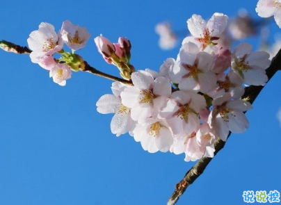 很現(xiàn)實(shí)的人生感悟經(jīng)典句子 人生感悟句句精辟帶圖片11