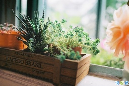 一句話讓女朋友炸毛 女生聽了瞬間生氣的句子合集14