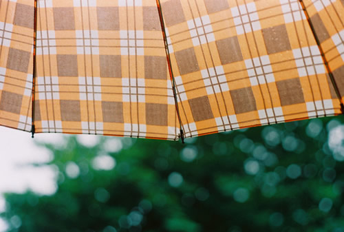 很現(xiàn)實(shí)的人生感悟空間說說大全 關(guān)于成長和成熟你需要知道的說說1