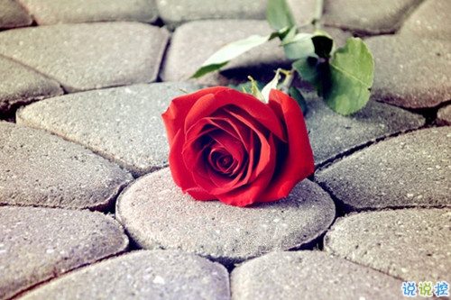 與愛情有關(guān)的朋友圈說說帶圖片 余生有你我好歡喜6