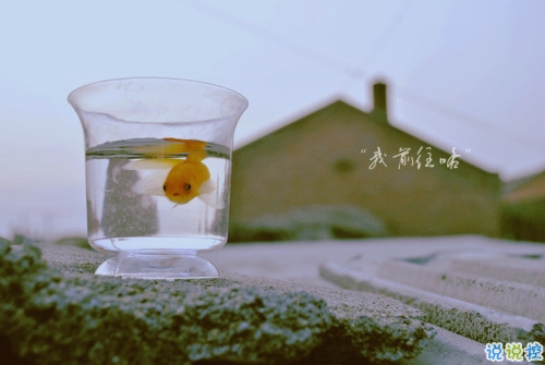 一句話淚流滿面的說說帶圖片 內心瞬間被擊潰的經典說說配圖6