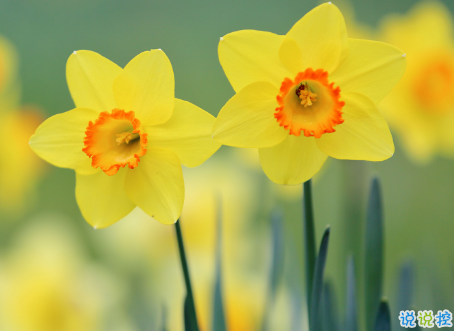 微信朋友圈治愈系早安心語說說 溫暖小清新早安說說大全14