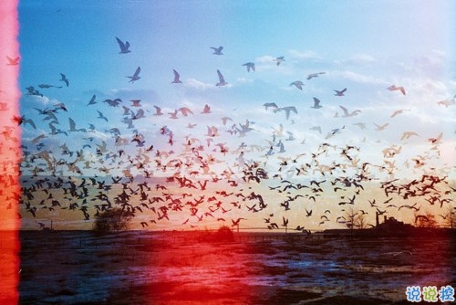 讓人瞬間紅了眼眶的歌詞傷感難過圖片說說 人生若如初見7