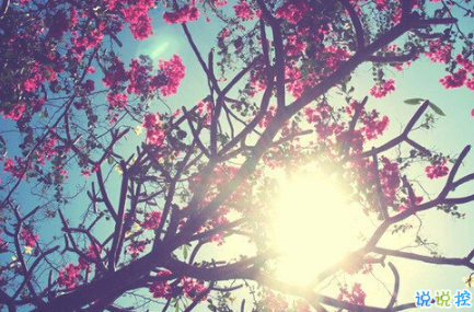 最火情侶說(shuō)說(shuō)秀恩愛(ài)短句帶圖片 超級(jí)喜歡一個(gè)人的說(shuō)說(shuō)15