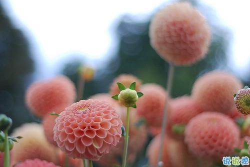 獨一無二的qq個性說說帶圖片 充滿陽光的經(jīng)典說說201915