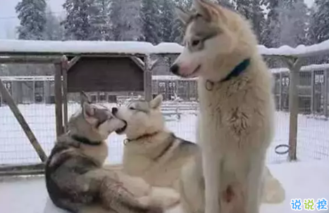 2018七夕即將來臨的說說心情配圖 七夕快到了的說說圖片1