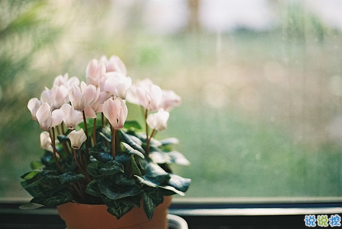 很有深度的微信勵志說說帶圖片 說出來很扎心但很值得學(xué)習(xí)的說說7