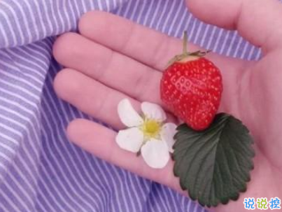 快手公布對(duì)象說(shuō)說(shuō)精選帶圖片 公布戀愛(ài)關(guān)系的說(shuō)說(shuō)5